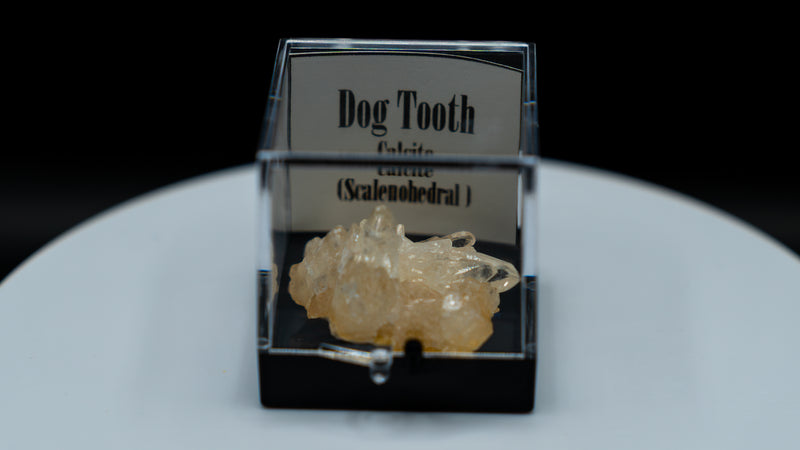 Dog Tooth Calcite (Scalenohedral) – Clear on Yellow Host Rock