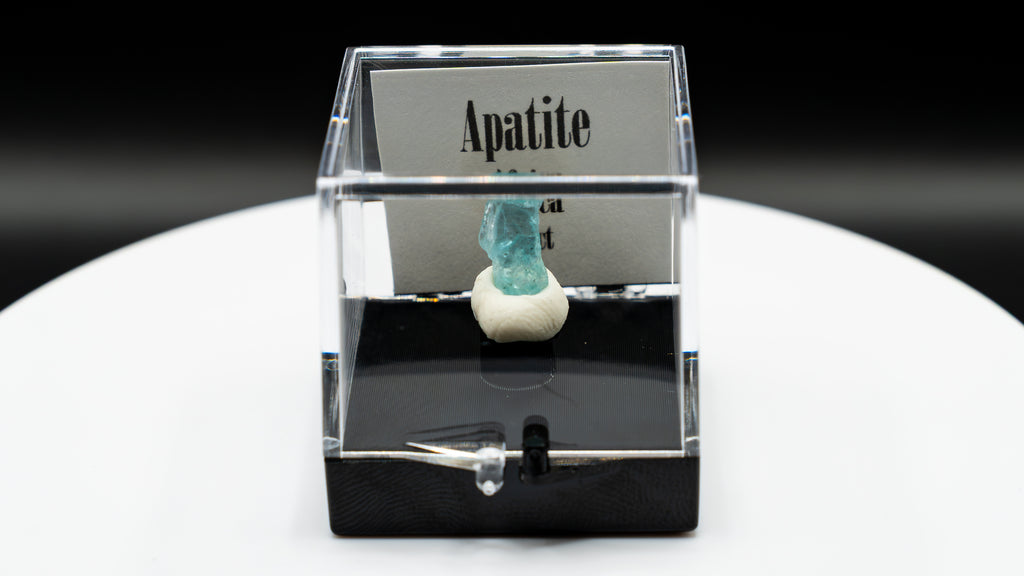 Blue Apatite Crystal Specimen – Africa | Perky Box Display