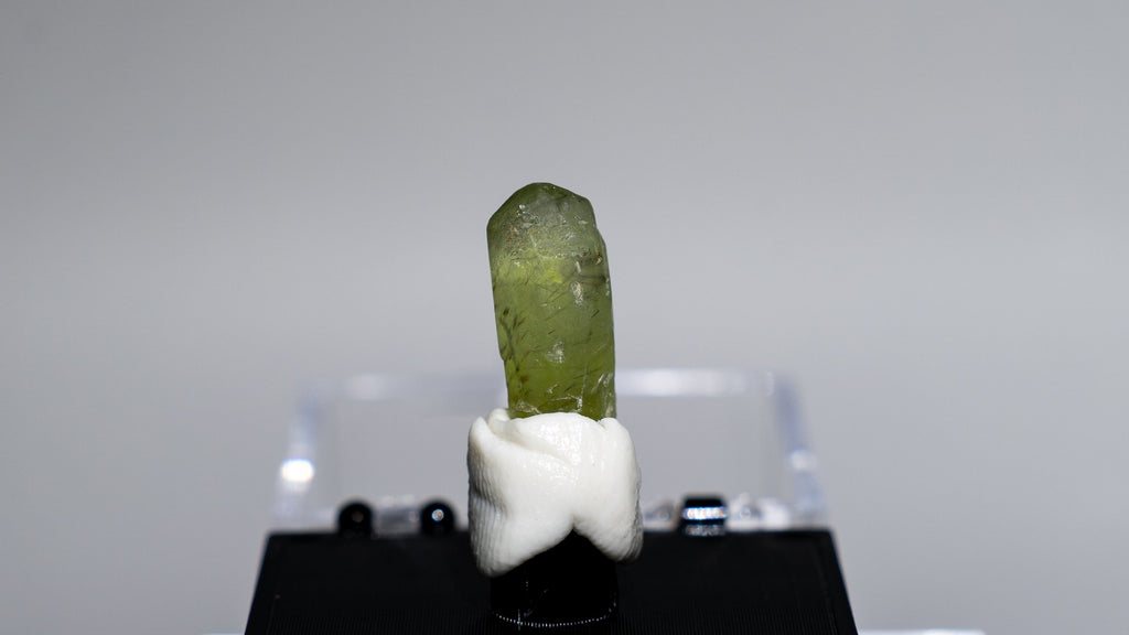 A small green crystal or mineral specimen mounted on a white block and displayed on a black stand, photographed against a plain light gray studio background.