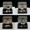Welo Opal Specimen – Ethiopia | Perky Box Display