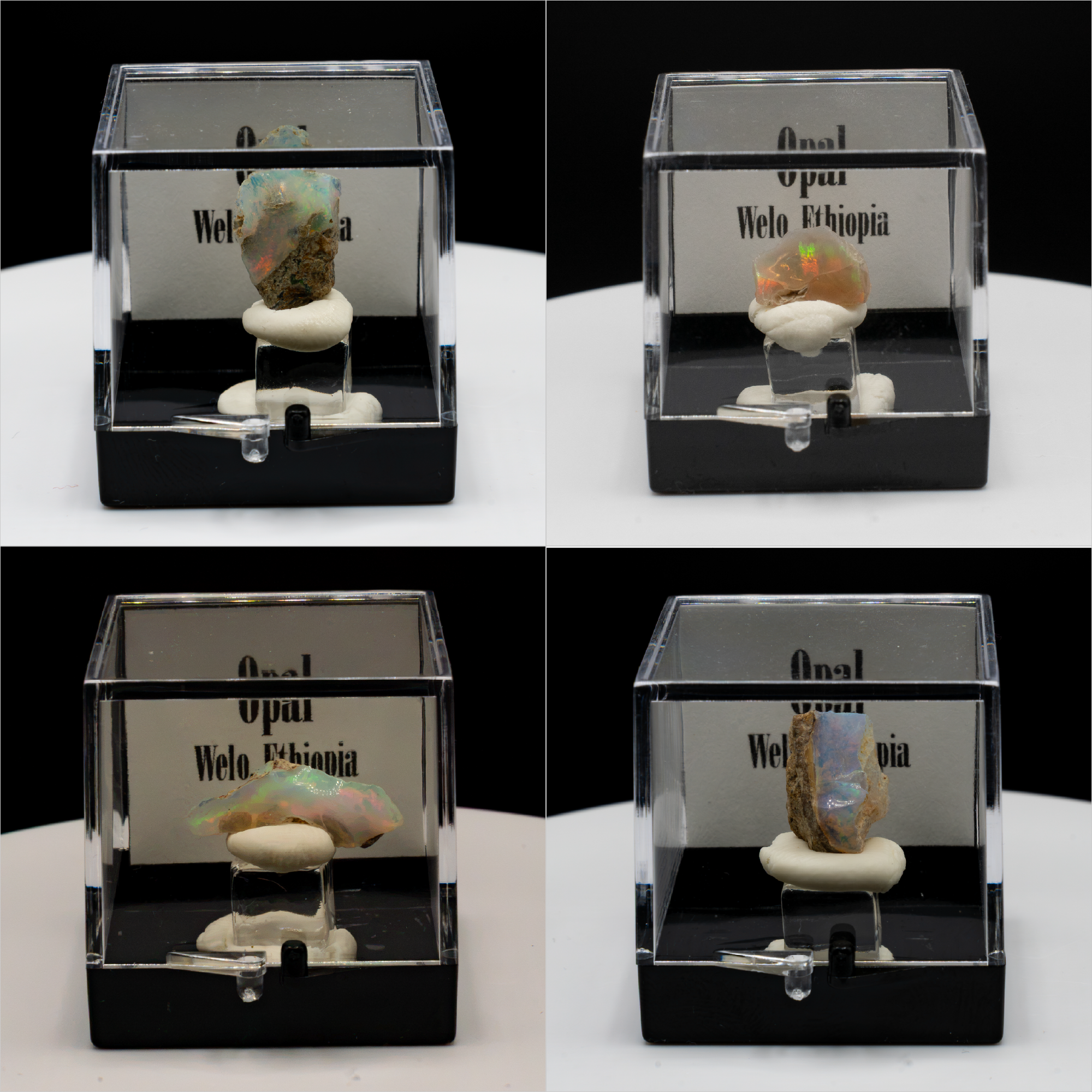 Welo Opal Specimen – Ethiopia | Perky Box Display