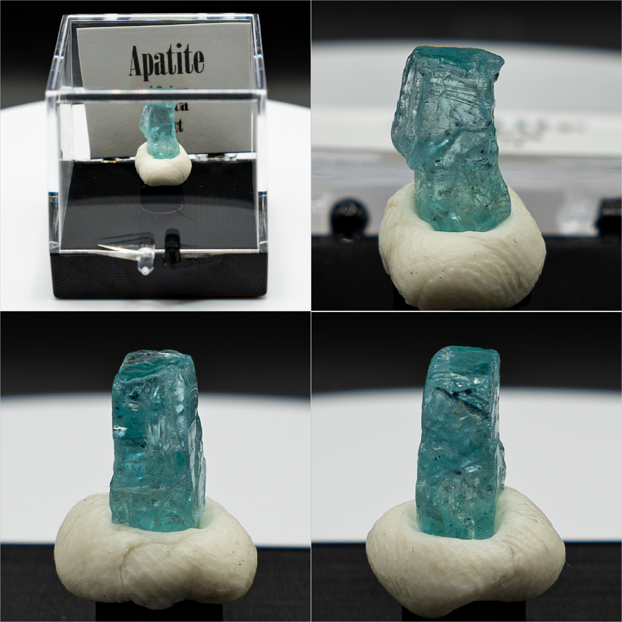 Blue Apatite Crystal Specimen – Africa | Perky Box Display
