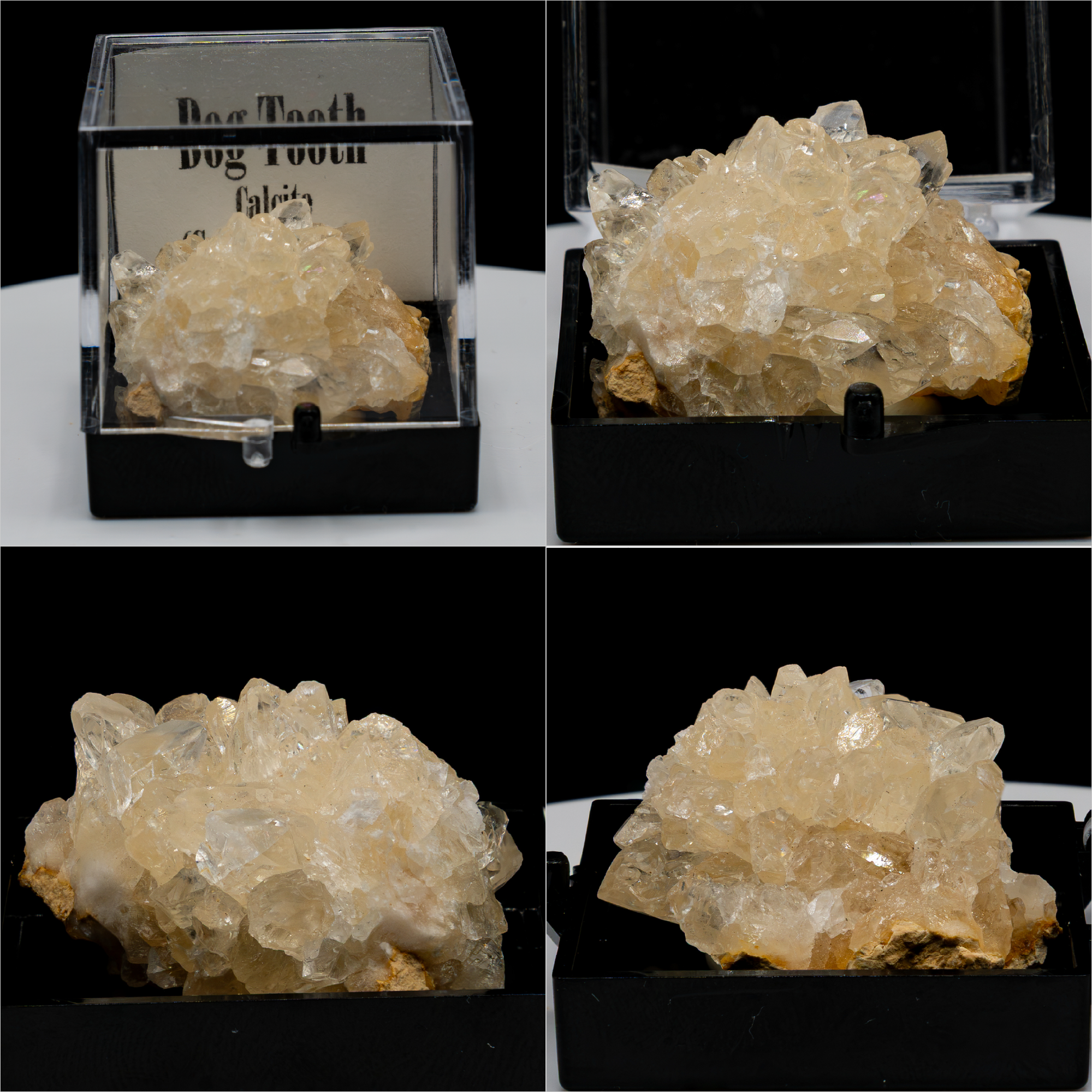 Dog Tooth Calcite (Scalenohedral) – Clear on Yellow Host Rock