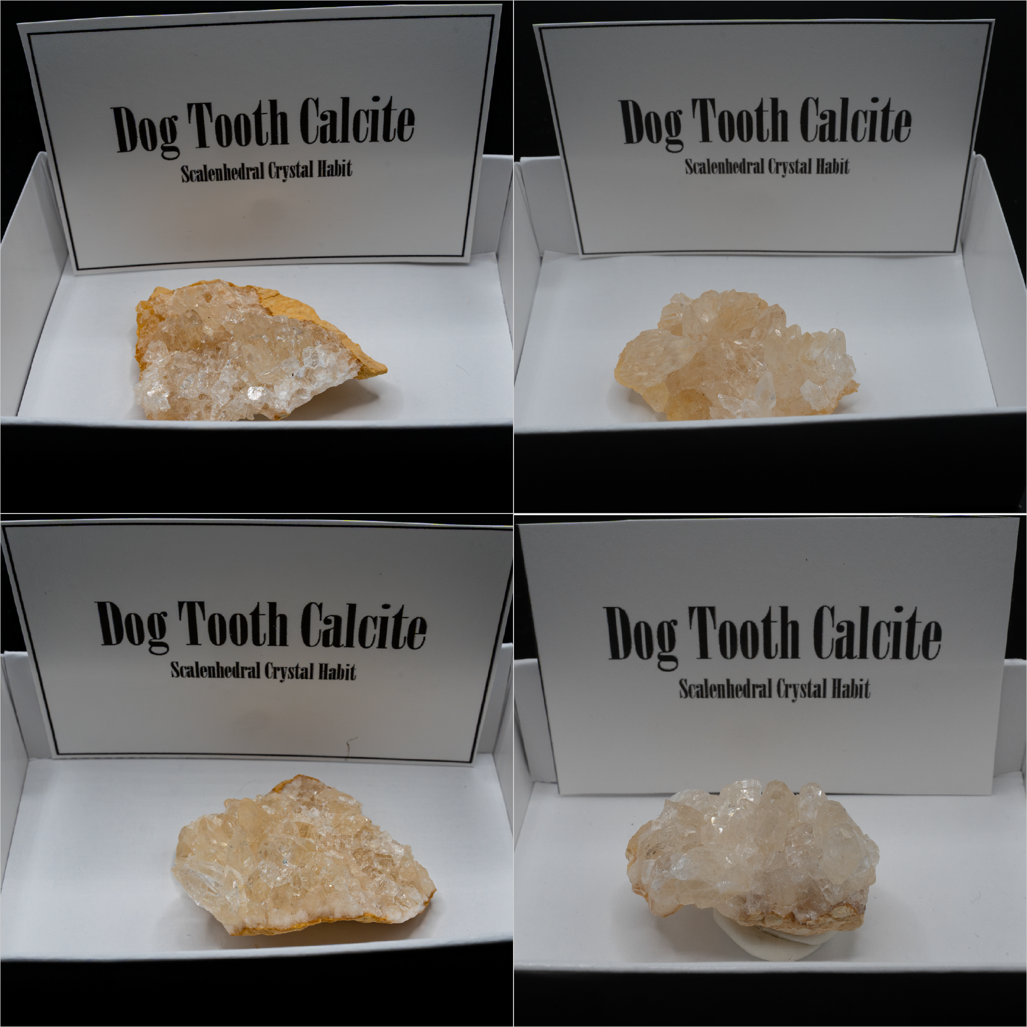 Dog Tooth Calcite (Scalenohedral) – Clear on Yellow Host Rock