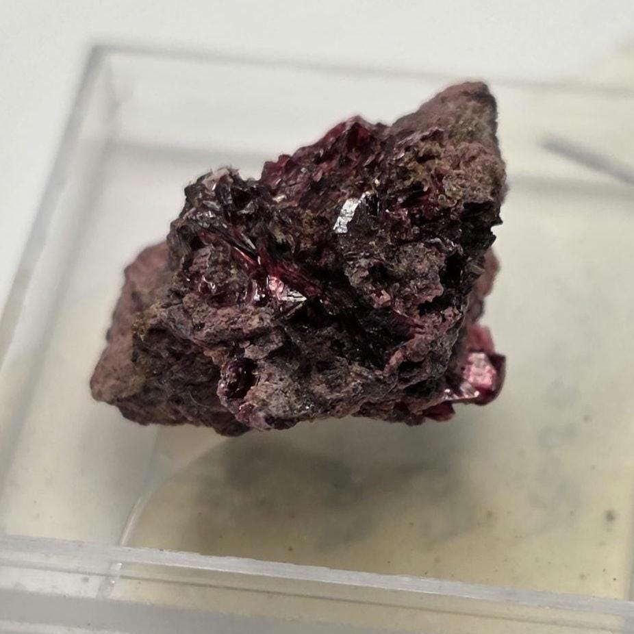 Roselite and Erythrite Micromount Specimen, Bou Azzer, Morocco. ROCK ADOPTION!