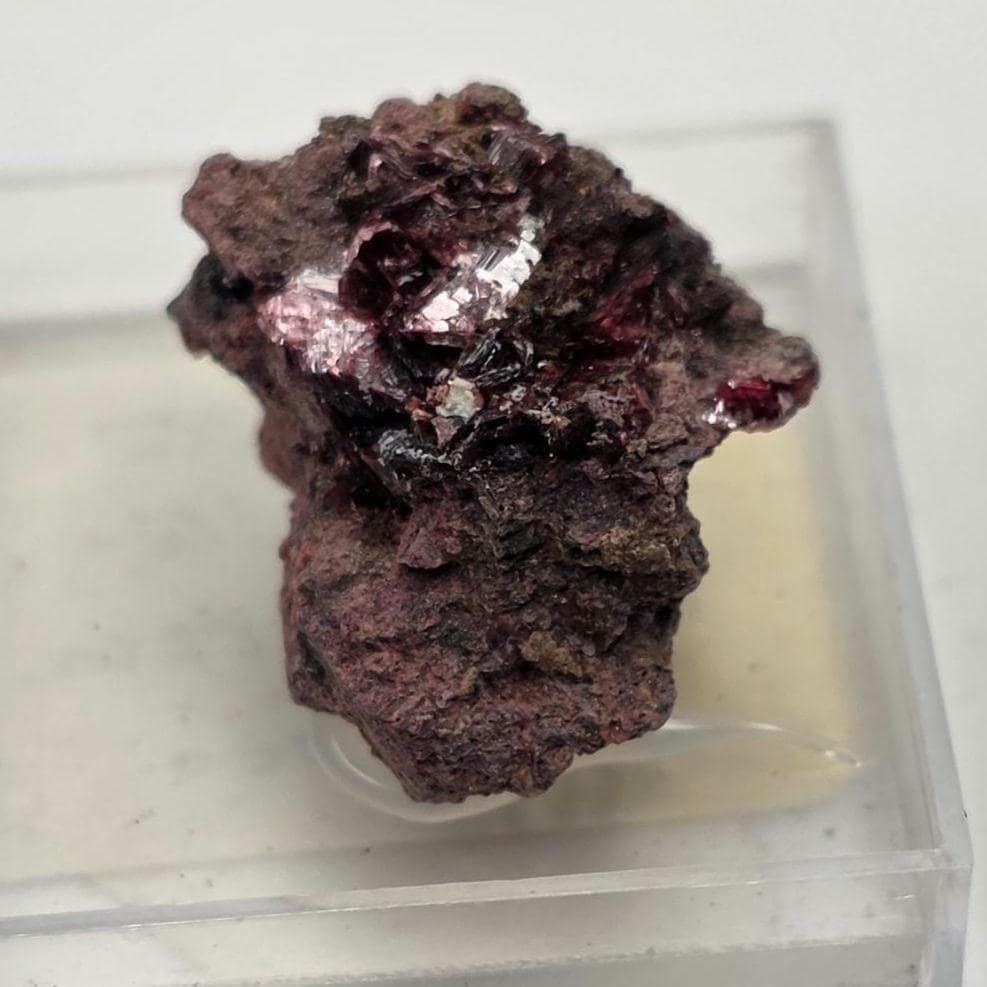 Roselite and Erythrite Micromount Specimen, Bou Azzer, Morocco. ROCK ADOPTION!