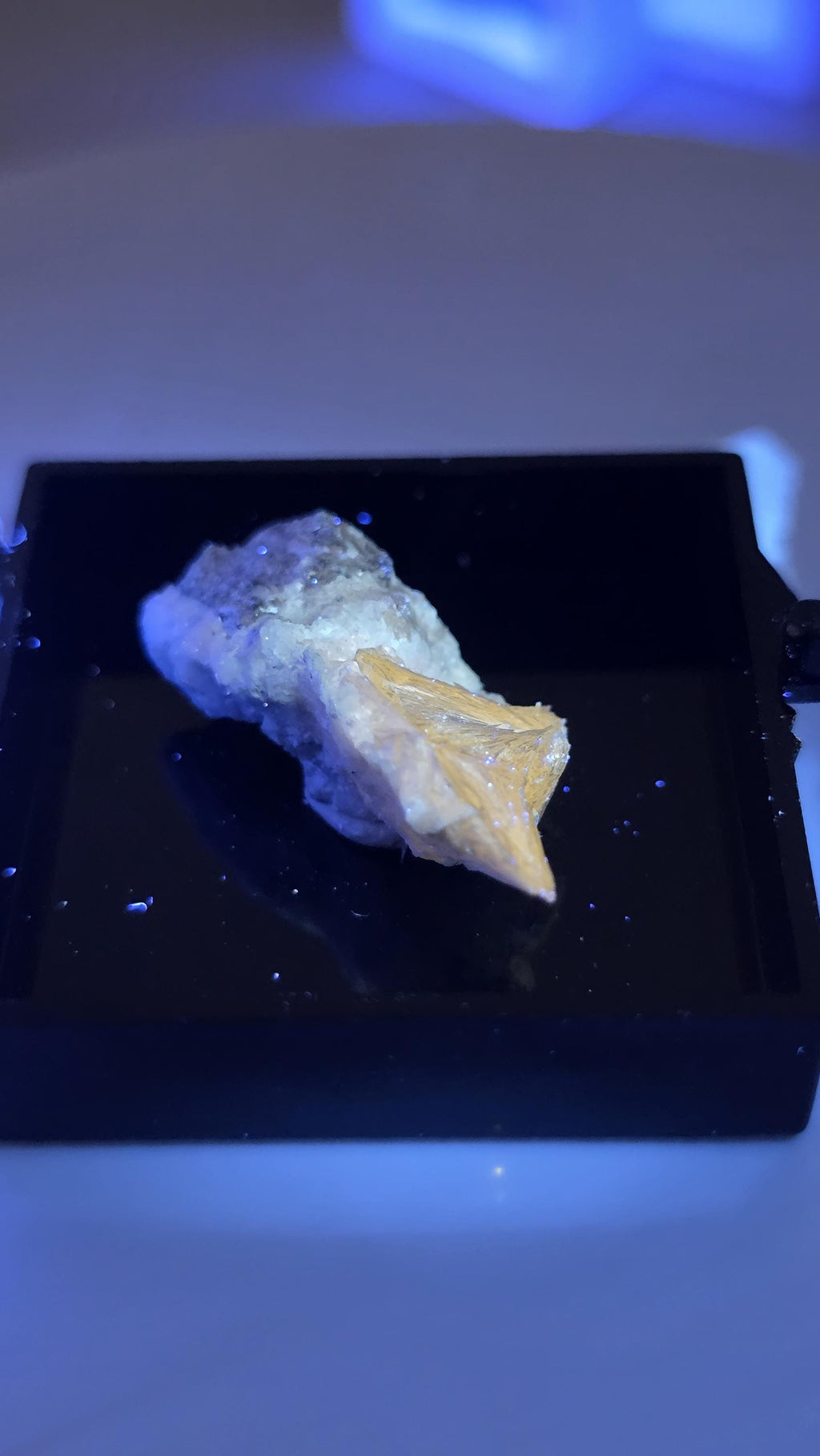 UV Reactive Pectolite Thumbnail Specimen Perky Box, Paterson, New Jersey, GeoTheGeode ROCK ADOPTION