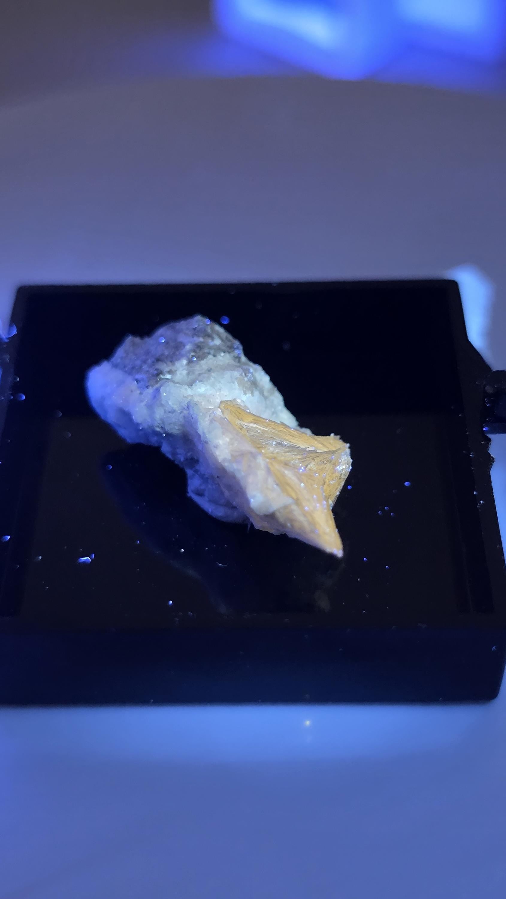 UV Reactive Pectolite Thumbnail Specimen Perky Box, Paterson, New Jersey, GeoTheGeode ROCK ADOPTION