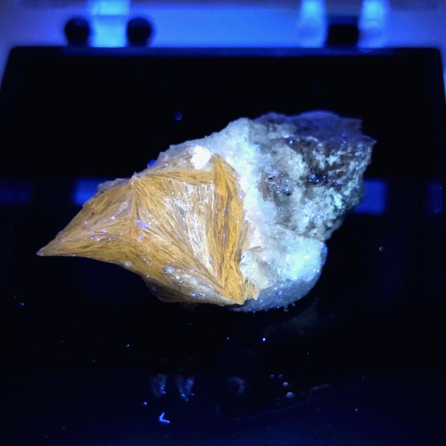 UV Reactive Pectolite Thumbnail Specimen Perky Box, Paterson, New Jersey, GeoTheGeode ROCK ADOPTION