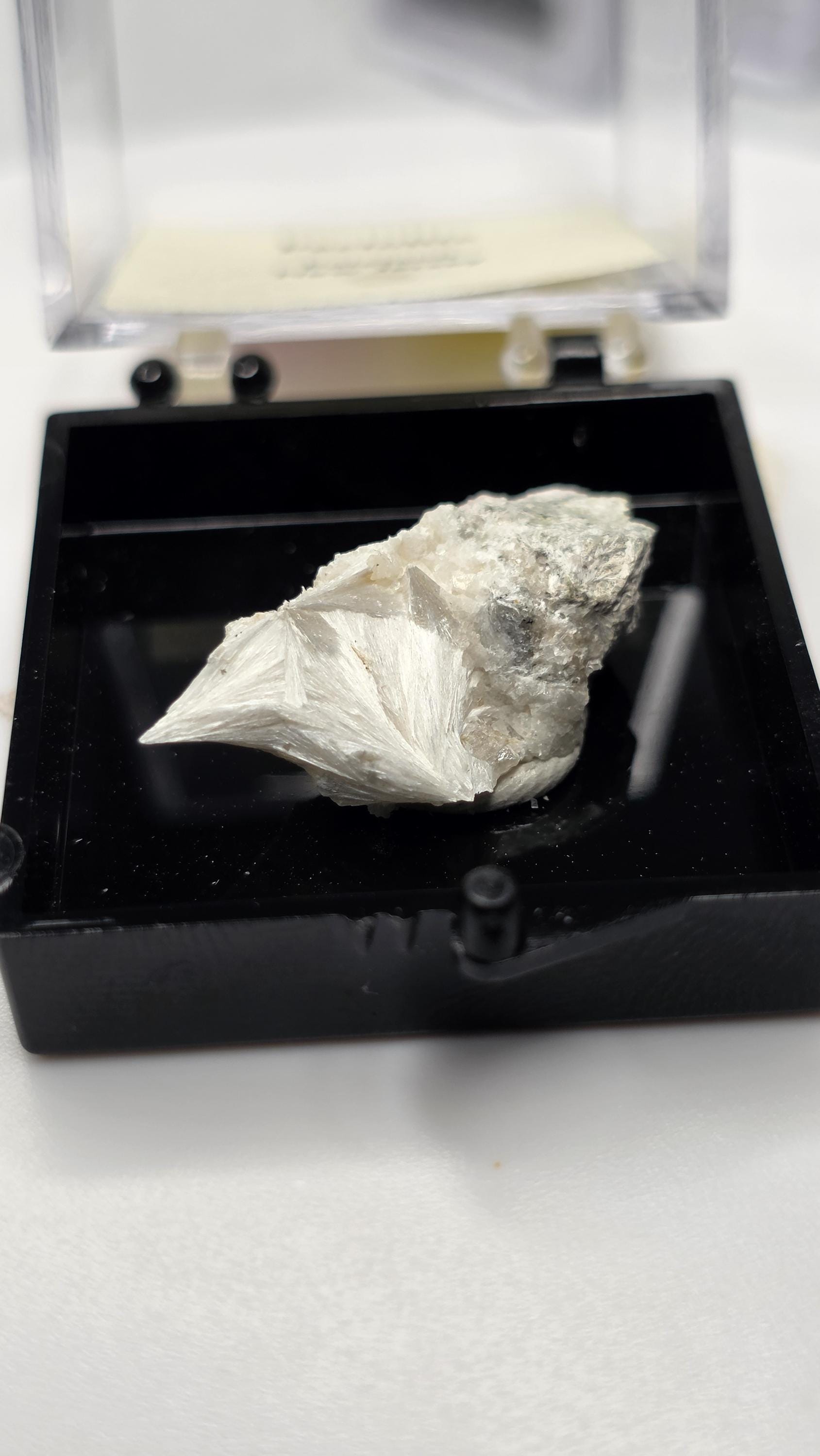 UV Reactive Pectolite Thumbnail Specimen Perky Box, Paterson, New Jersey, GeoTheGeode ROCK ADOPTION