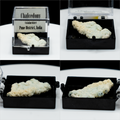 Pick-a-Perky — Choose Your Collector Mineral Specimen (Perky Box)
