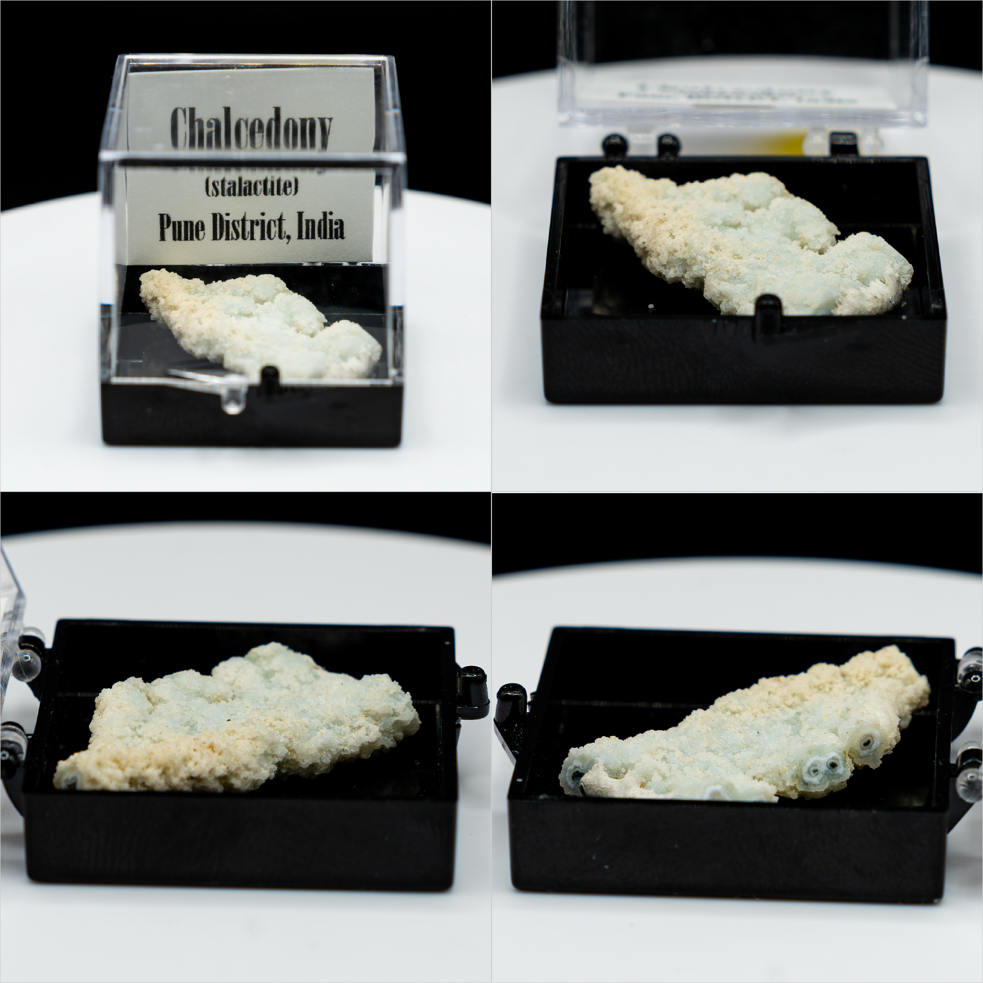 Pick-a-Perky — Choose Your Collector Mineral Specimen (Perky Box)