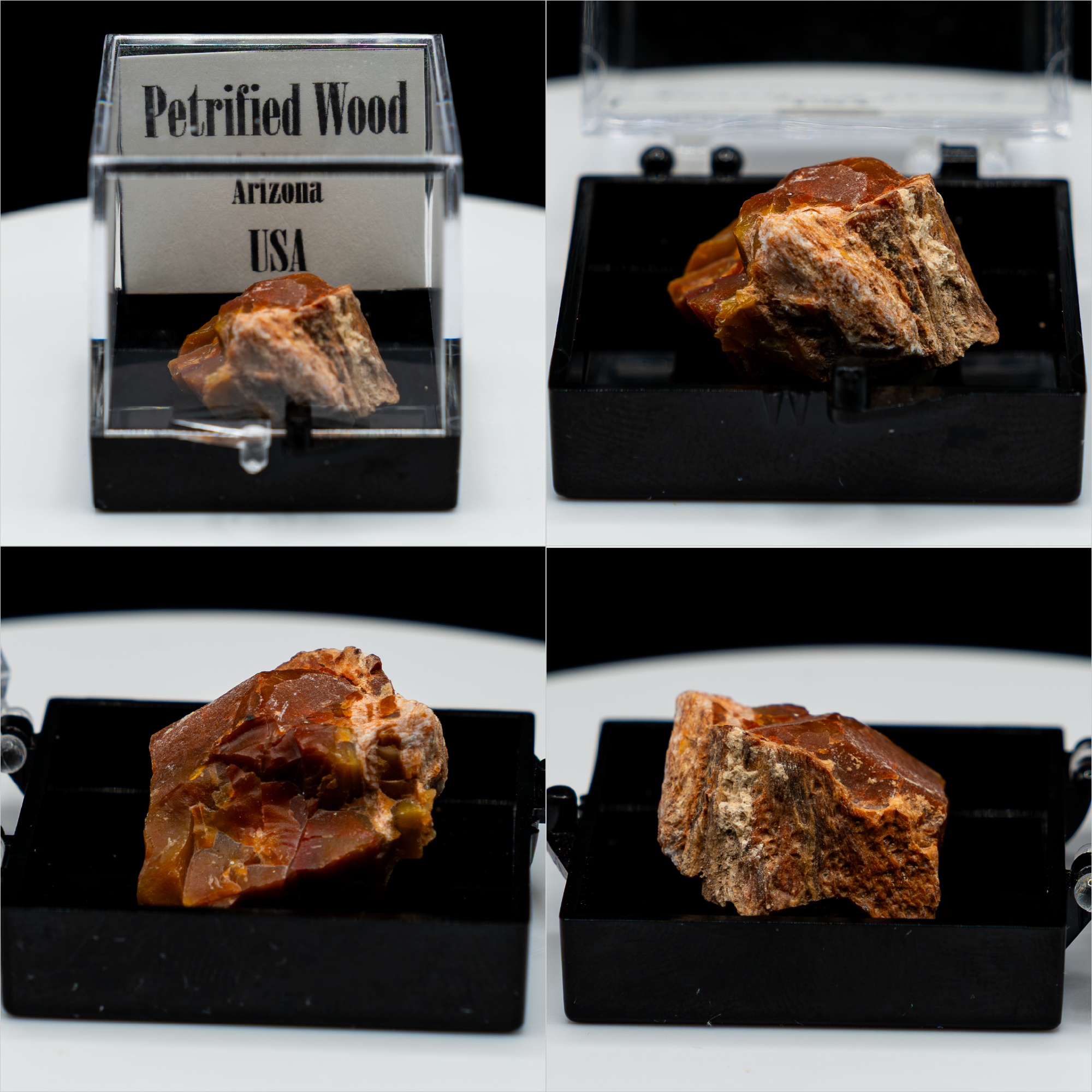 Pick-a-Perky — Choose Your Collector Mineral Specimen (Perky Box)