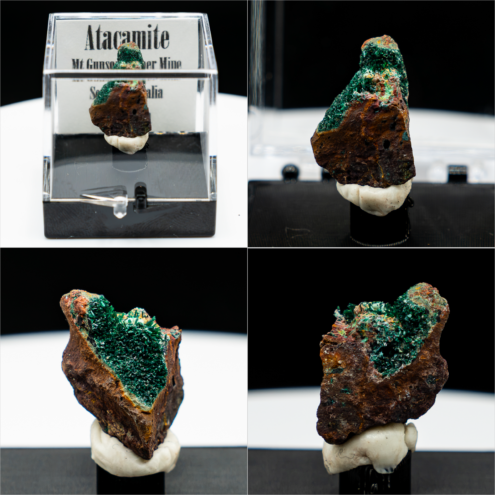 Pick-a-Perky — Choose Your Collector Mineral Specimen (Perky Box)