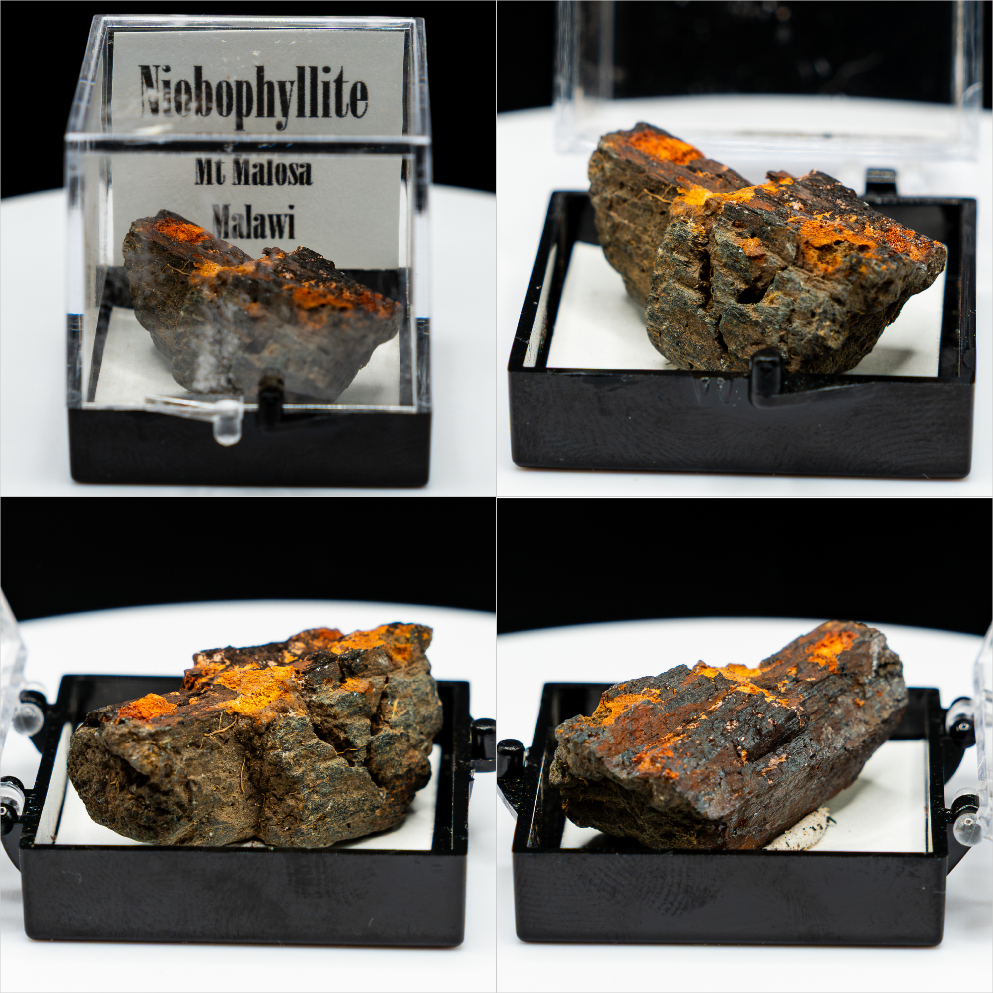 Pick-a-Perky — Choose Your Collector Mineral Specimen (Perky Box)