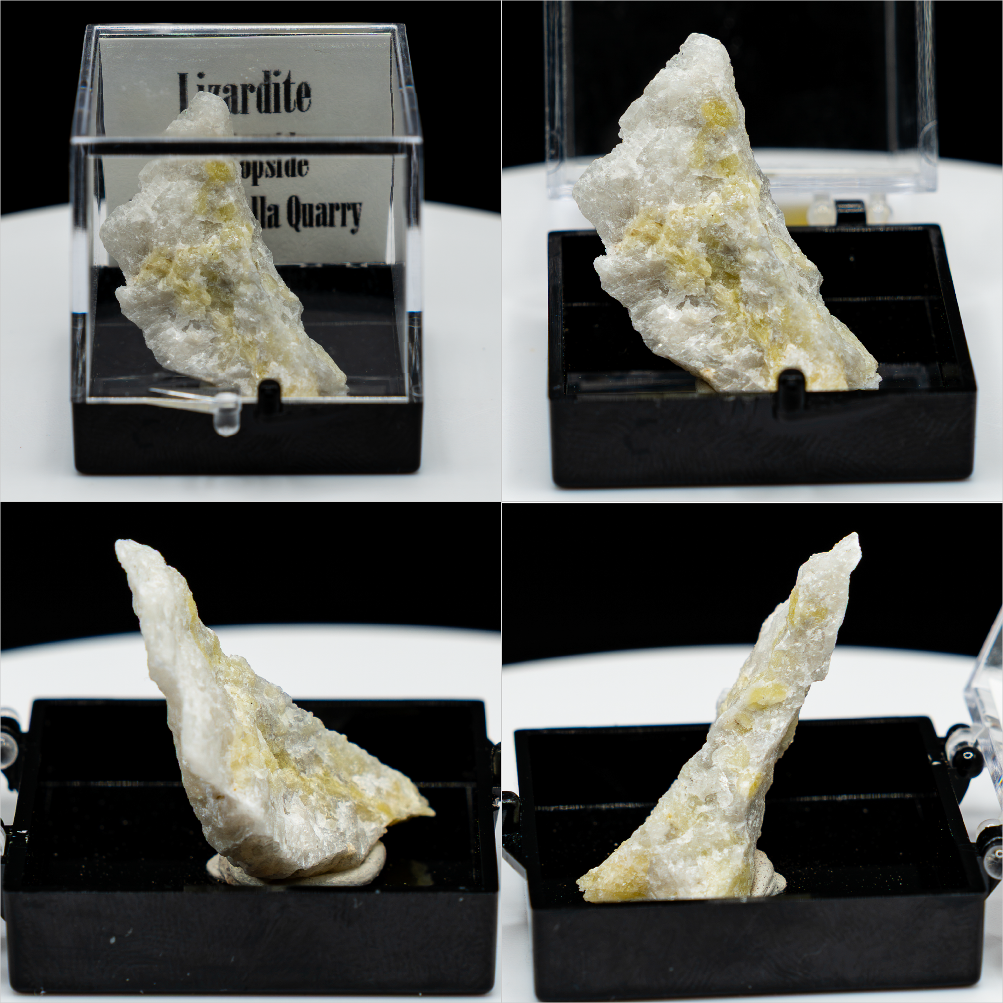 Pick-a-Perky — Choose Your Collector Mineral Specimen (Perky Box)