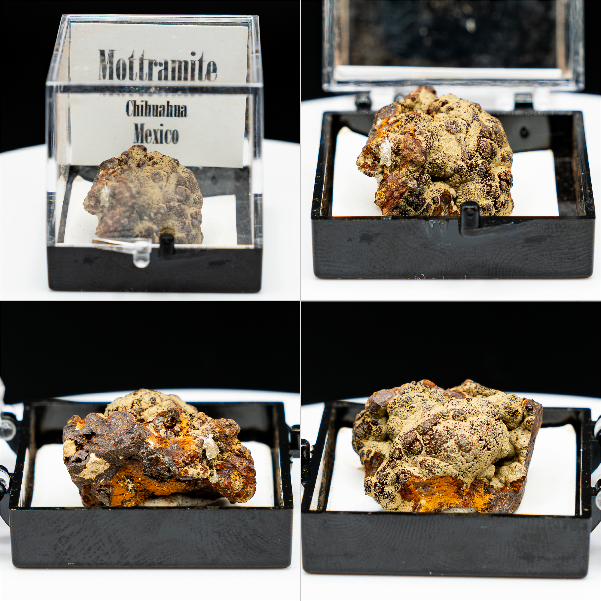 Pick-a-Perky — Choose Your Collector Mineral Specimen (Perky Box)