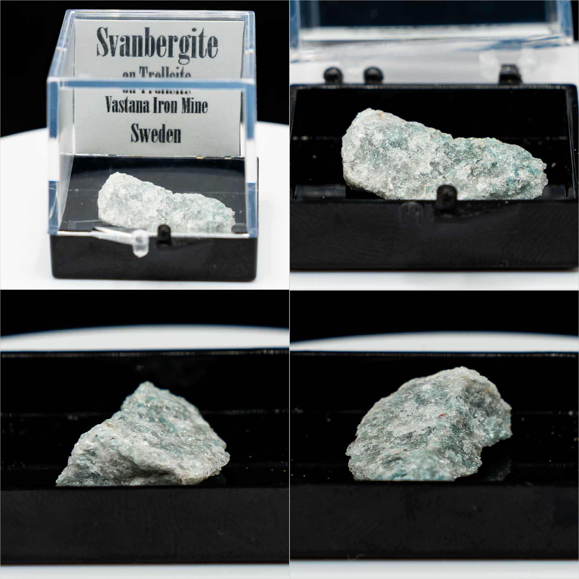 Pick-a-Perky — Choose Your Collector Mineral Specimen (Perky Box)