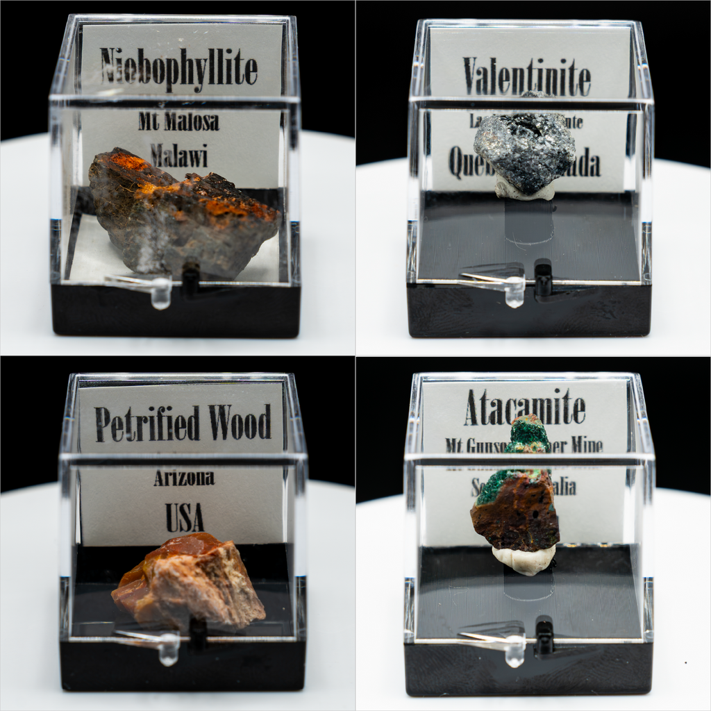 Pick-a-Perky — Choose Your Collector Mineral Specimen (Perky Box)